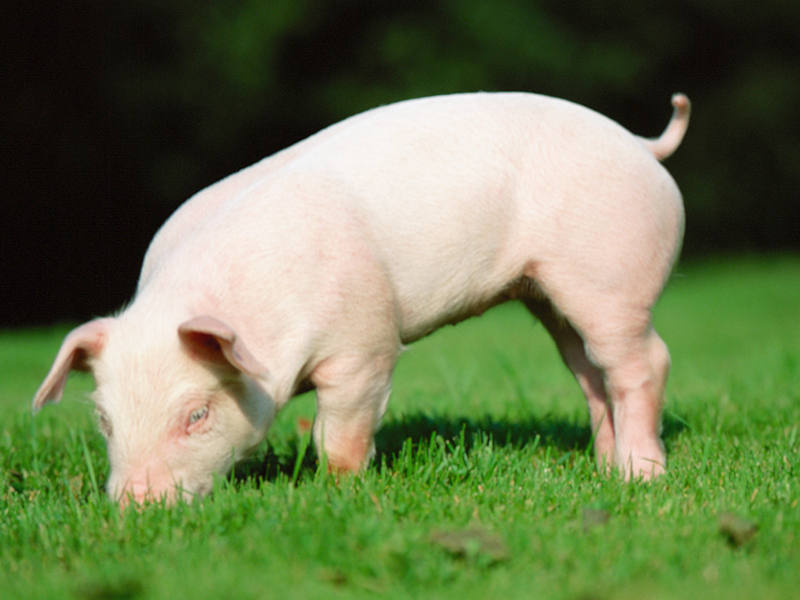 �й�����ҵչ���ᡤ2022ʱ����