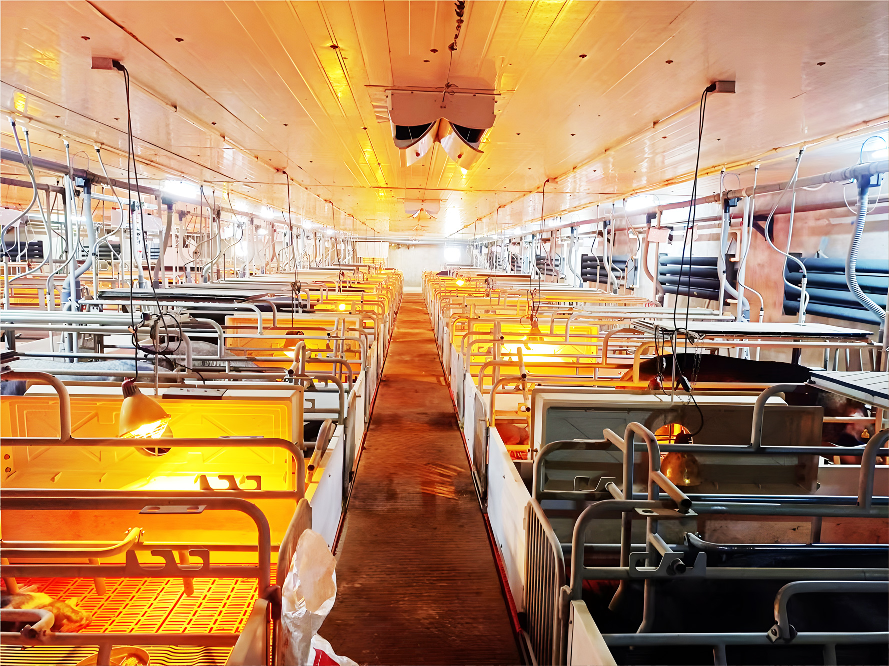 �����ڲ�ϵͳչʾ