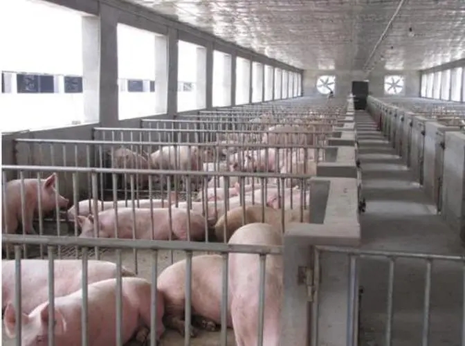 ������ֳ����